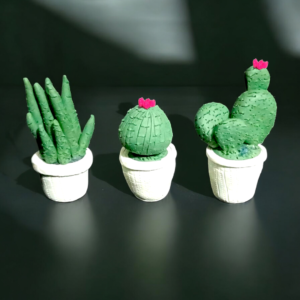 Cactus Planter - Fridge Magnets